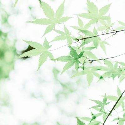 5.7亿吨！前8个月唐山港货物吞吐量创历史同期新高