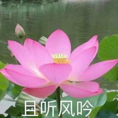 刘汇茗：融汇各种风格的重彩墨画家