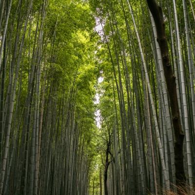 疫情防控建议征集：多地群众盼核酸检测再优化